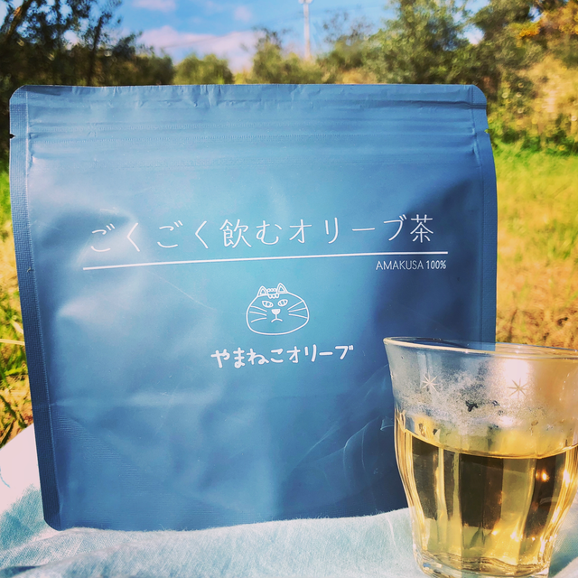 ごくごく飲むオリーブ茶